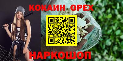 сатива Кандалакша