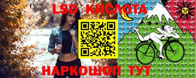 сатива Кандалакша