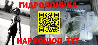 сатива Кандалакша