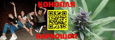сатива Кандалакша