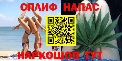 сатива Кандалакша