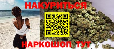 сатива Кандалакша
